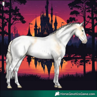 Horse Color:White Spotted Gold Cream Champagne 