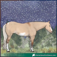 Horse Color:Silver Bay Dun Sabino Tobiano Frame Rabicano 