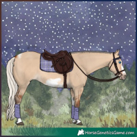Horse Color:Silver Bay Dun Sabino Tobiano Frame Rabicano 