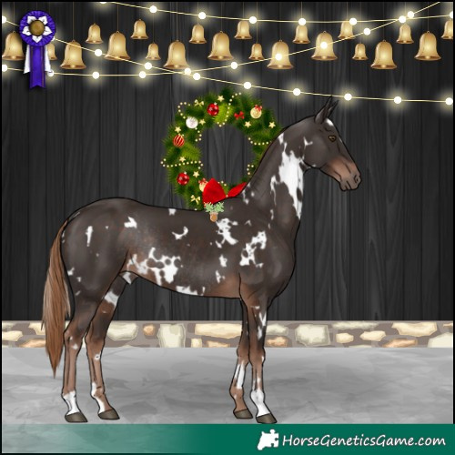Horse Color:White Spotted Liver Chestnut Rabicano 