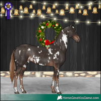 Horse Color:White Spotted Liver Chestnut Rabicano 