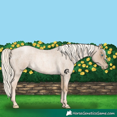 Horse Color:Chocolate Palomino Roan Pearl 