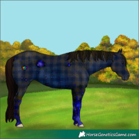 Horse Color:ERROR: UNKNOWN ANOMALY