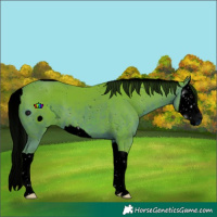 Horse Color:ERROR: UNKNOWN ANOMALY