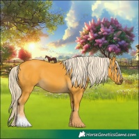 Horse Color:Palomino