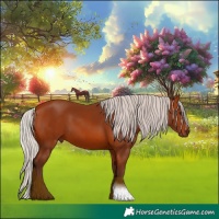 Horse Color:Silver Bay 