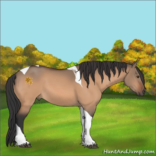 Horse Color:Brown Dun Tobiano 