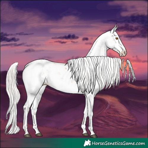 Horse Color:Silver Black Pearl Sabino 
