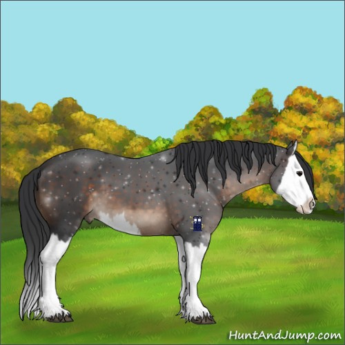 Horse Color:Brown Splash 