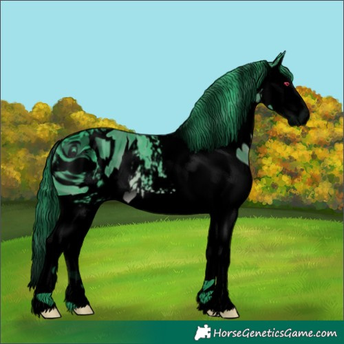Horse Color:ERROR: UNKNOWN ANOMALY