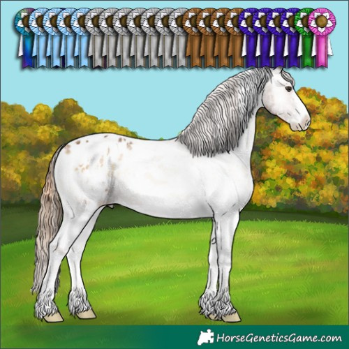Horse Color:Plaid Red Onyx Ice Sabino Tobiano Varnish