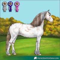 Horse Color:Plaid Red Onyx Ice Sabino Tobiano Appaloosa
