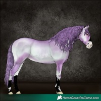 Horse Color:Watercolor Bay Pearl Onyx 