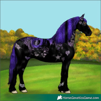 Horse Color:ERROR: UNKNOWN ANOMALY