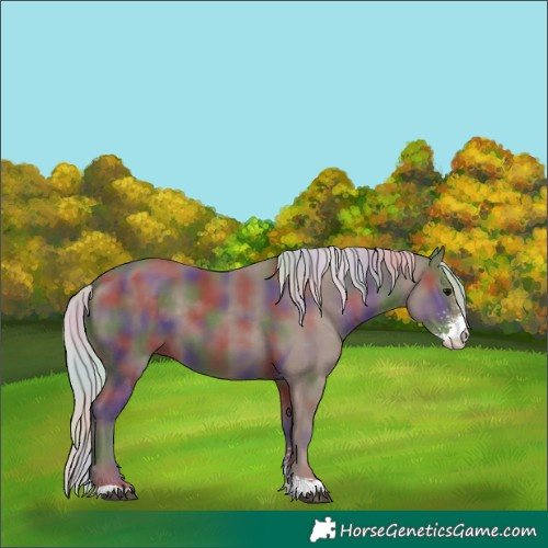 Horse Color:Nacre Silver Black Sabino 