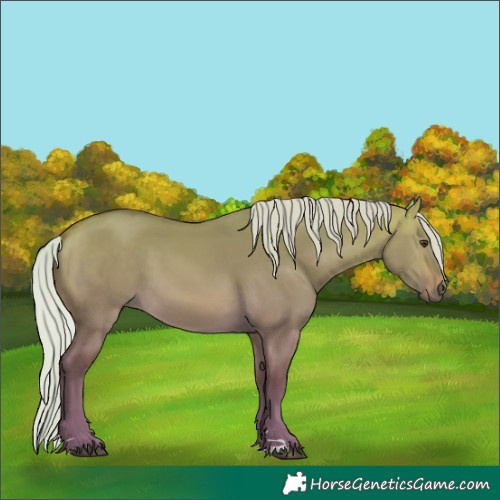 Horse Color:Silver Buckskin Dun 