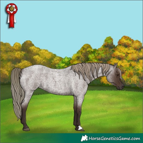 Horse Color:Liver Red Roan Mushroom 