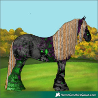 Horse Color:ERROR: UNKNOWN ANOMALY