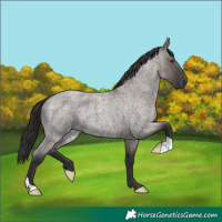 Horse Color:Smoky Grullo Roan 