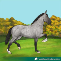 Horse Color:Smoky Grullo Roan