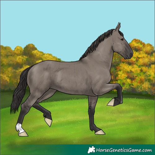 Horse Color:Smoky Grullo Brindle