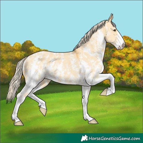 Horse Color:Palomino Dun Sabino 