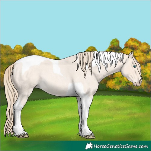 Horse Color:Perlino Roan Tobiano