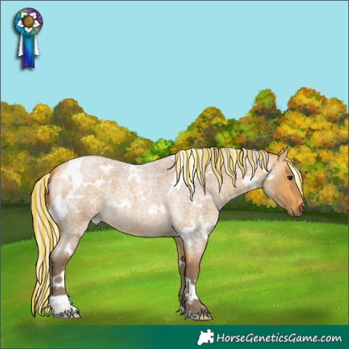 Horse Color:Painted White Spotted Silver Buckskin Roan 