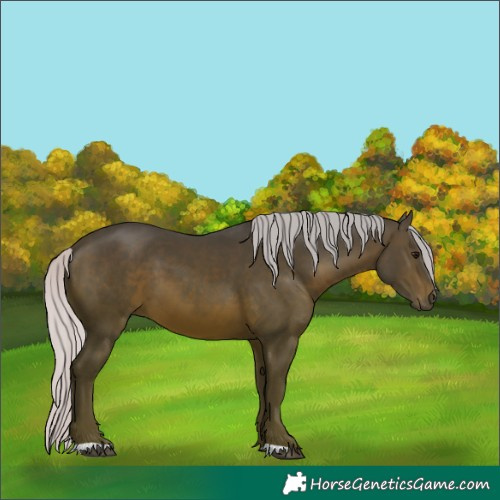 Horse Color:Silver Brown 