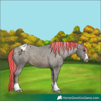 Horse Color:Painted Silver Buckskin Varnish 