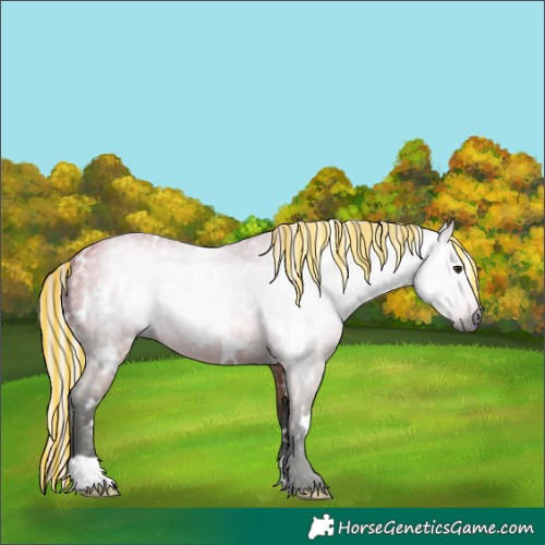 Horse Color:Gray Painted White Spotted Silver Buckskin 