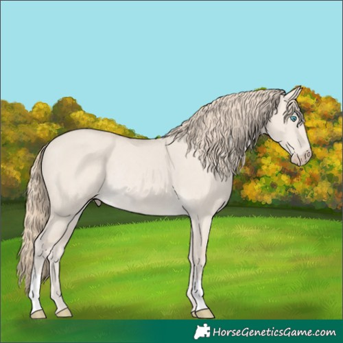 Horse Color:Smoky Creme Dun Rabicano 