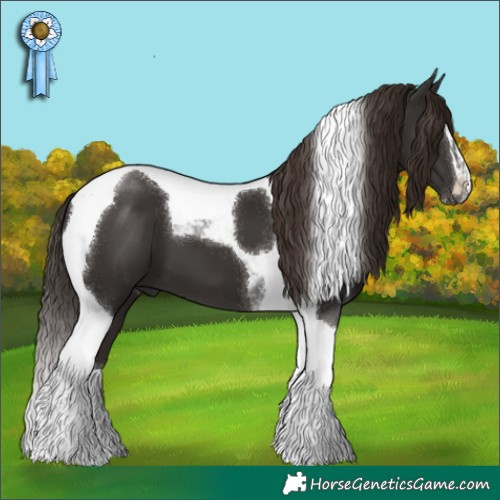 Horse Color:Liver Chestnut Sabino Tobiano