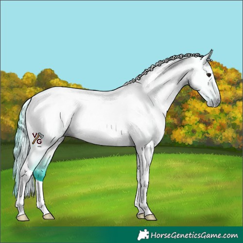 Horse Color:Gray Watercolor Brown Roan Tobiano Rabicano 