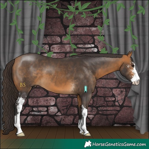 Horse Color:Buckskin Sabino 