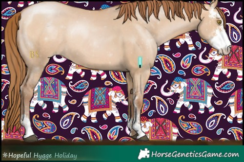 Horse Color:Brown Pearl Dun Sabino Rabicano 