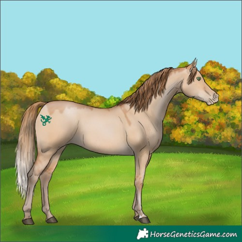 Horse Color:Brown Pearl Dun 