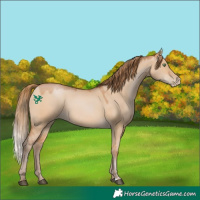 Horse Color:Brown Pearl Dun 