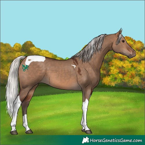 Horse Color:Silver Brown Dun Tobiano 