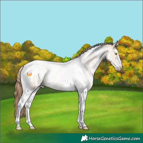 Horse Color:Brown Pearl Dun Sabino Tobiano 