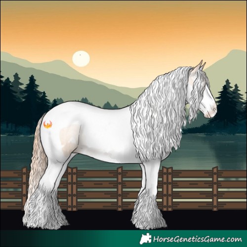Horse Color:White Spotted Amber Champagne Pearl Splash Tobiano Rabicano 