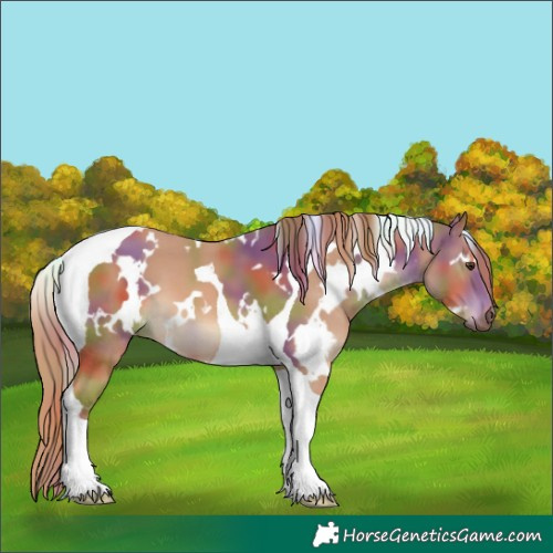 Horse Color:Nacre White Spotted Chestnut Tobiano 