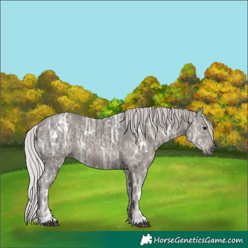 Horse Color:Platinum White Spotted Silver Black Ice 