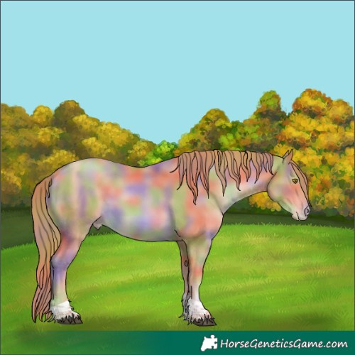 Horse Color:Nacre Chestnut Pearl Tobiano 