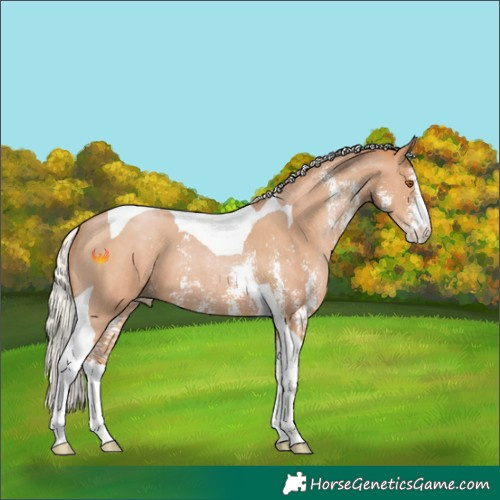 Horse Color:Silver Black Pearl Sabino Tobiano 