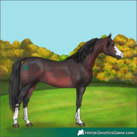 Horse Color:Brown 