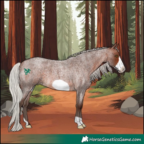 Horse Color:Silver Brown Roan Frame