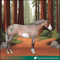 Horse Color:Silver Brown Roan Frame