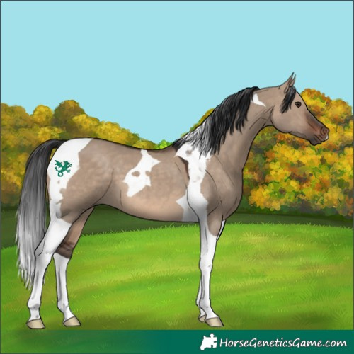 Horse Color:Brown Dun Tobiano 