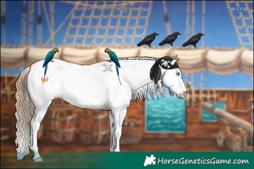 Horse Color:Black Pearl Sabino